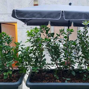 Con Terrazzo Appartamento